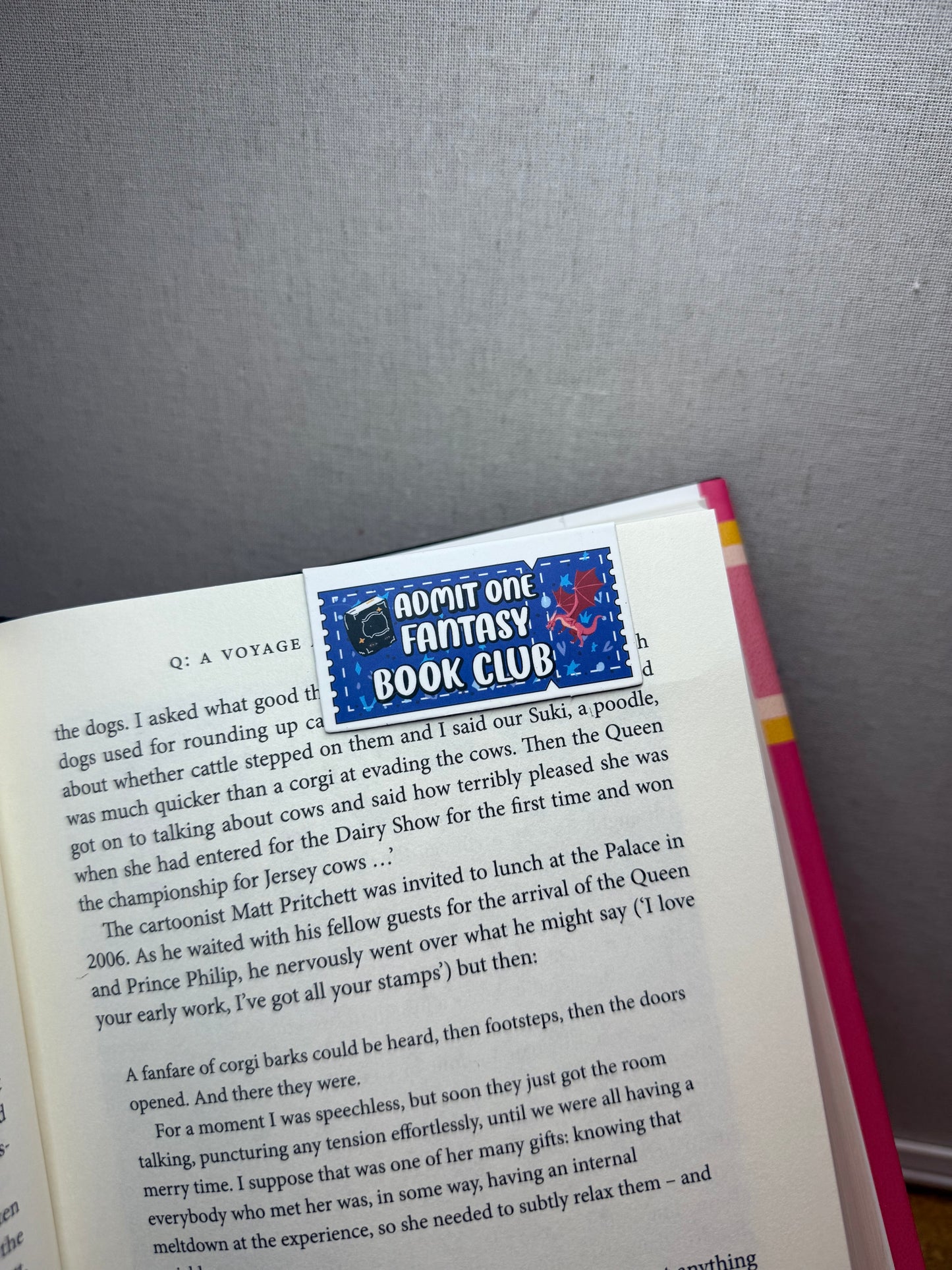 Magnetic Bookmarks