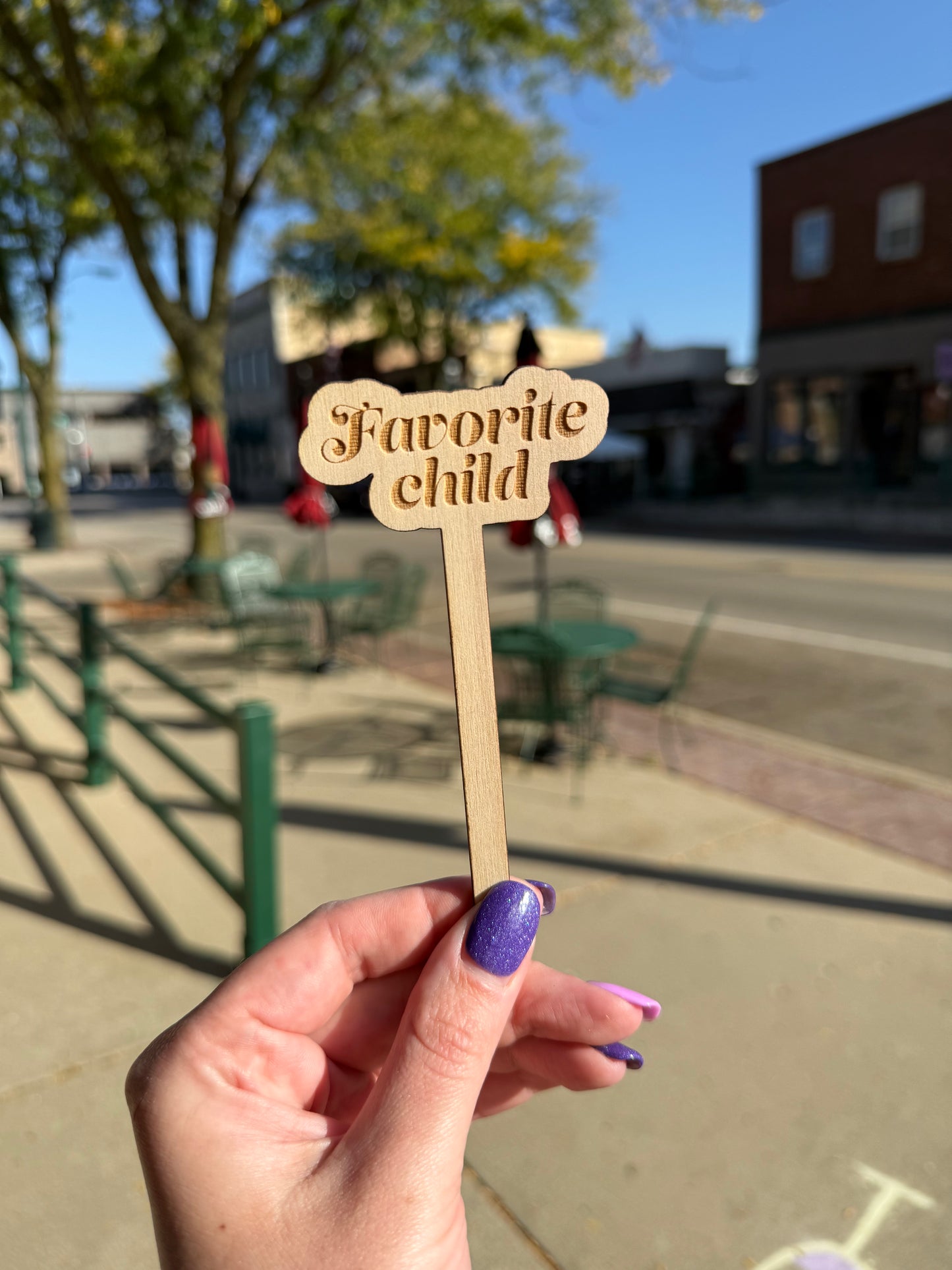 Funny Wooden Plant Markers