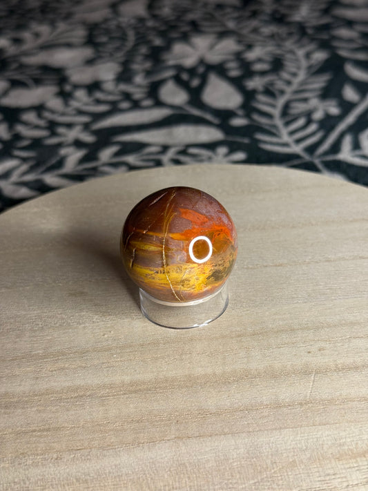 Petrified Wood Sphere