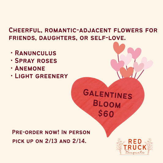 Galentine’s Bloom Bouquet | Pre Order