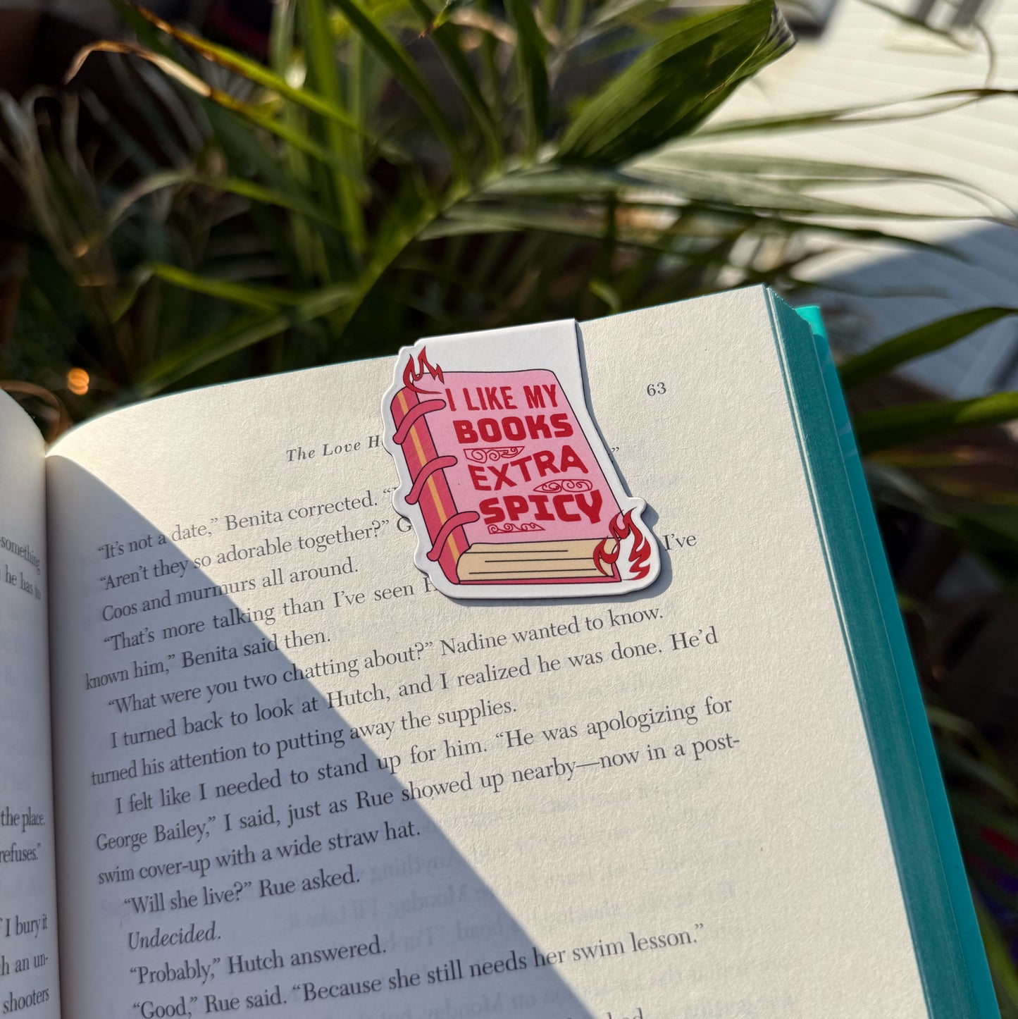 Magnetic Bookmarks
