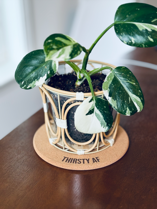 Thirsty AF • Plant Mat • 2 Size Options