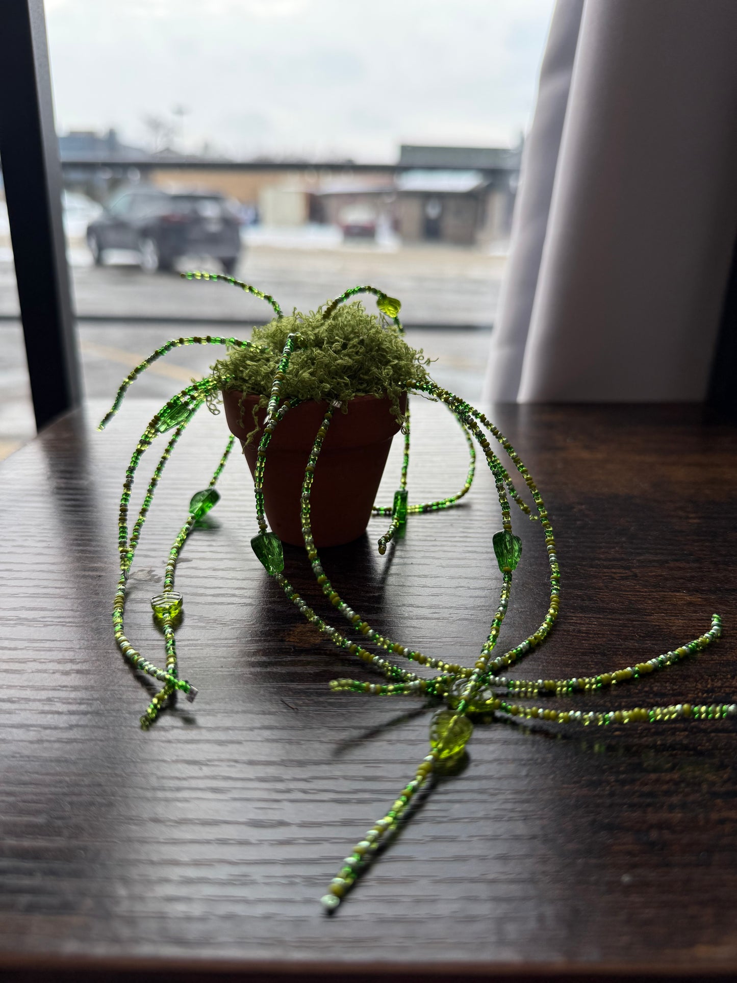 Beaded Plant | Charlotte