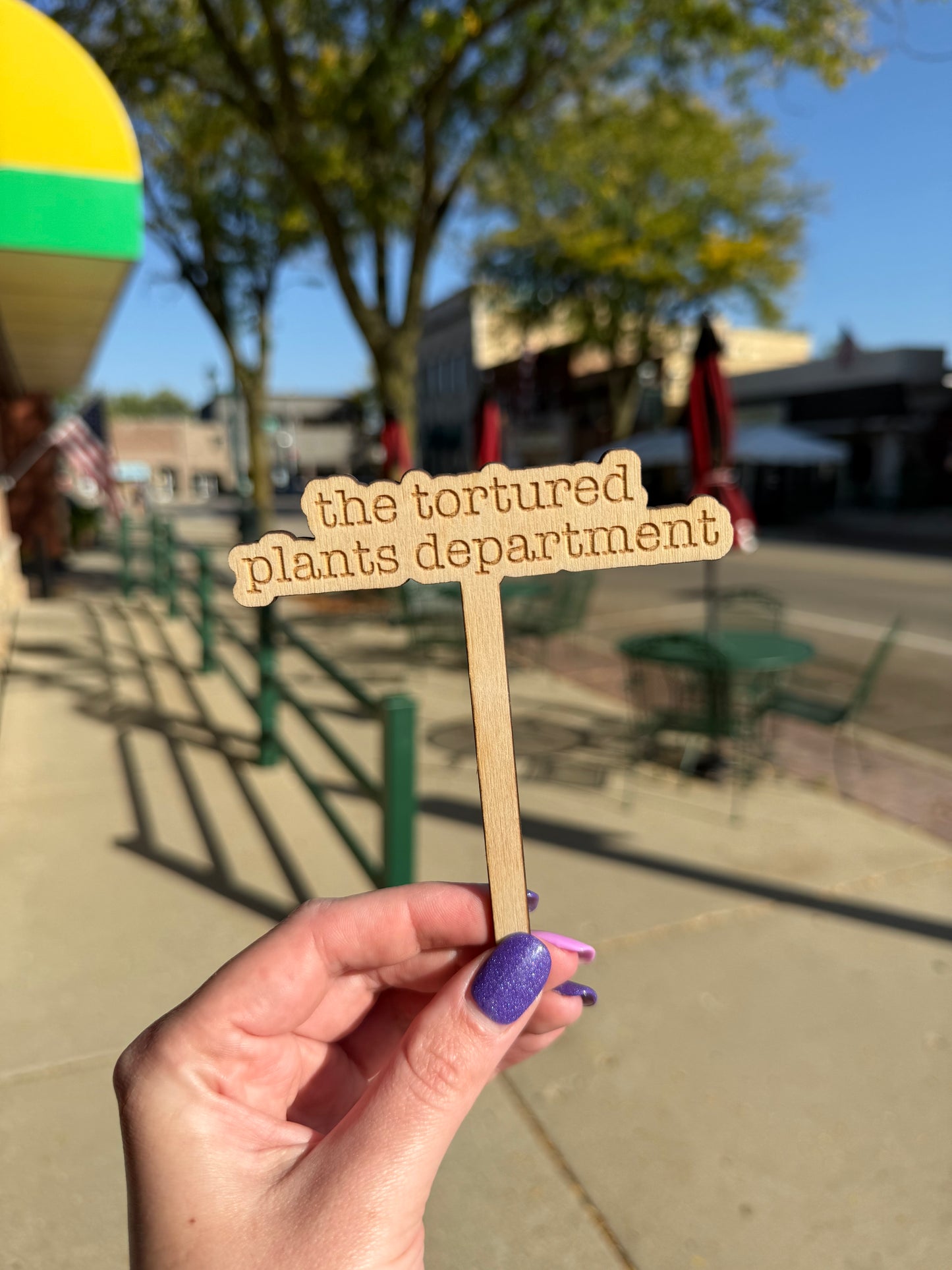 Funny Wooden Plant Markers