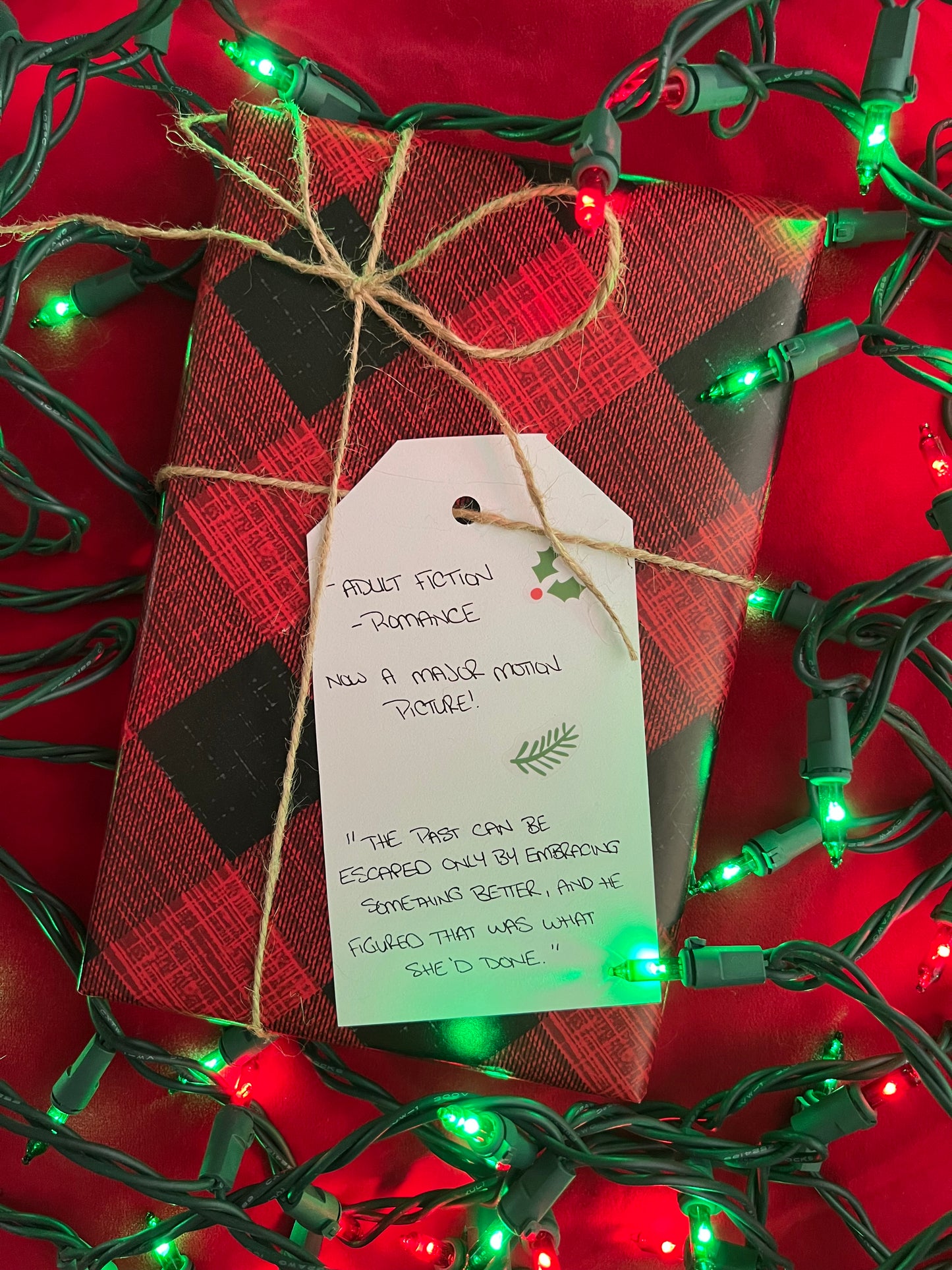 Holiday Blind Date with a Book | Adult & YA