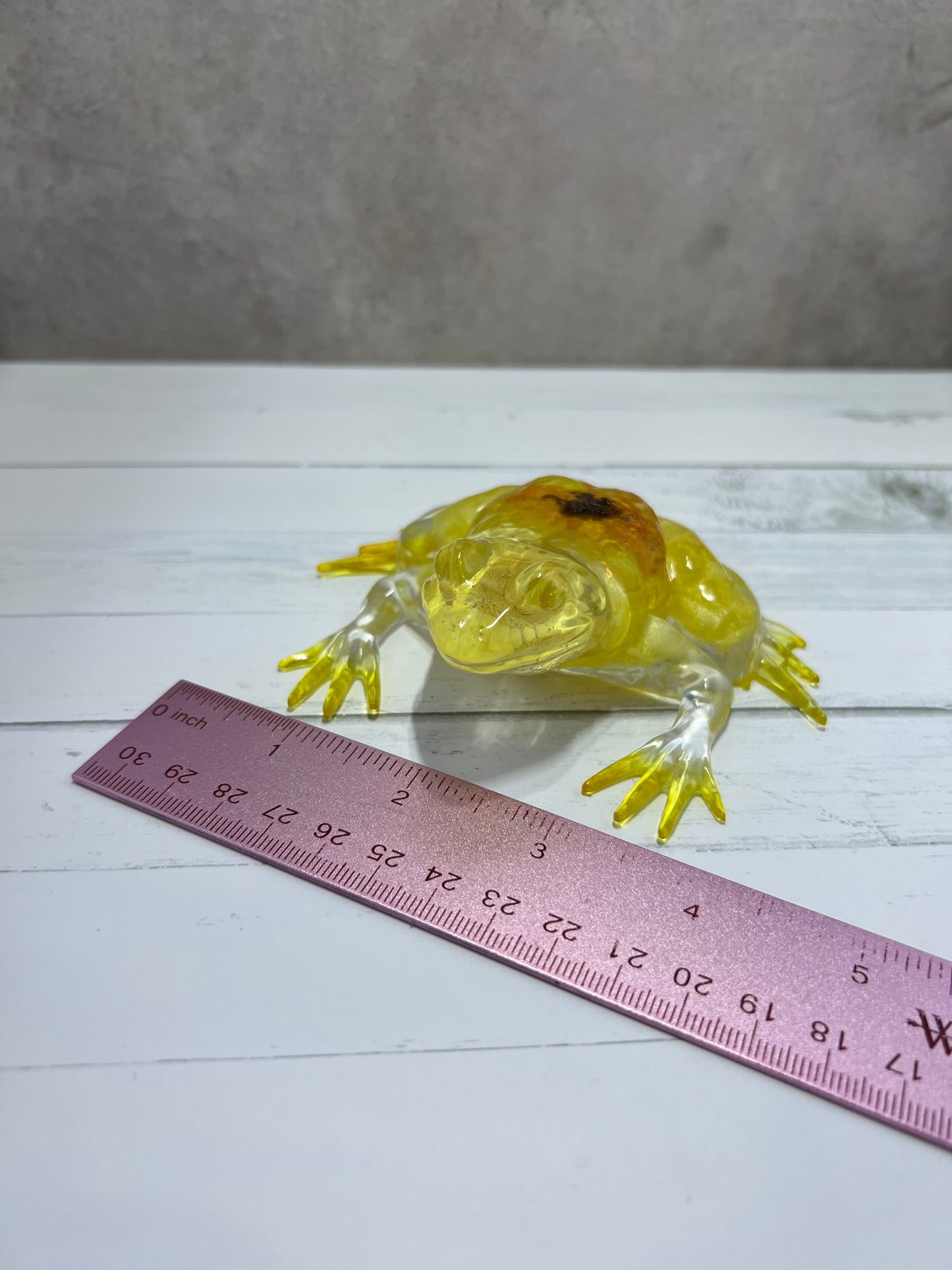 Yellow Daisy Frog