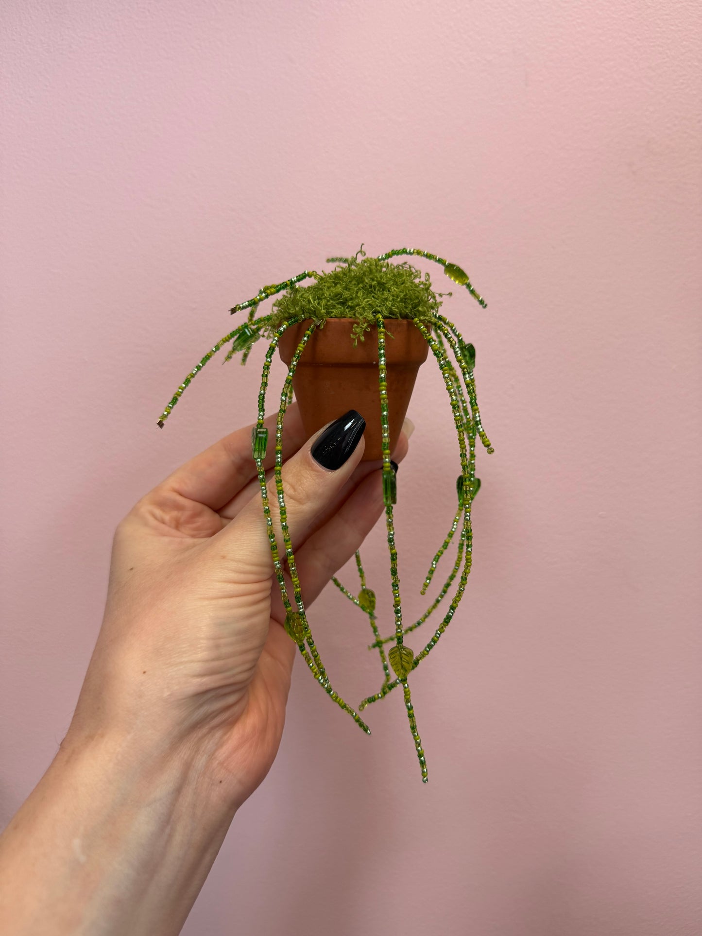 Beaded Plant | Charlotte