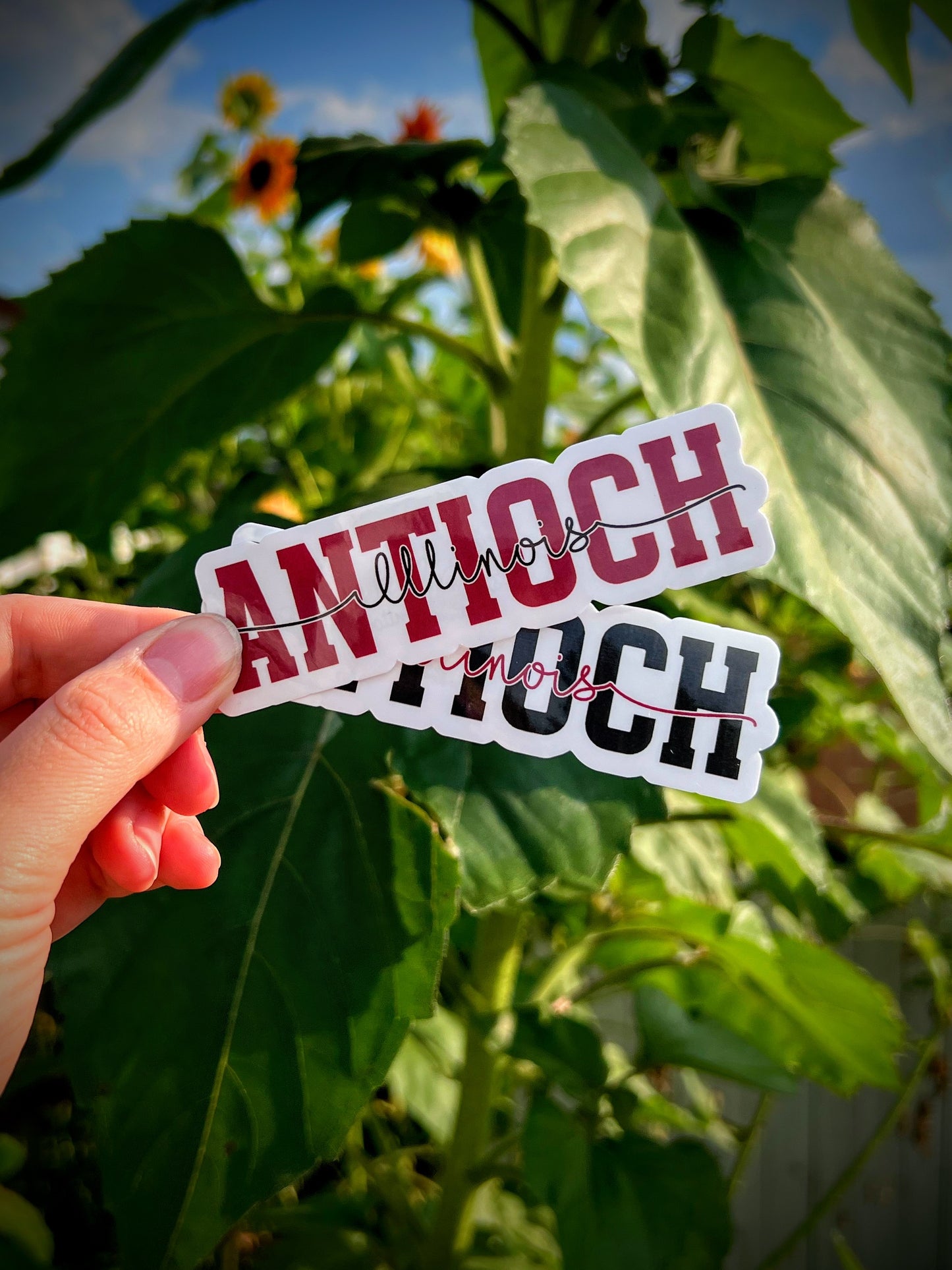 Antioch IL Sticker - 2 Colors