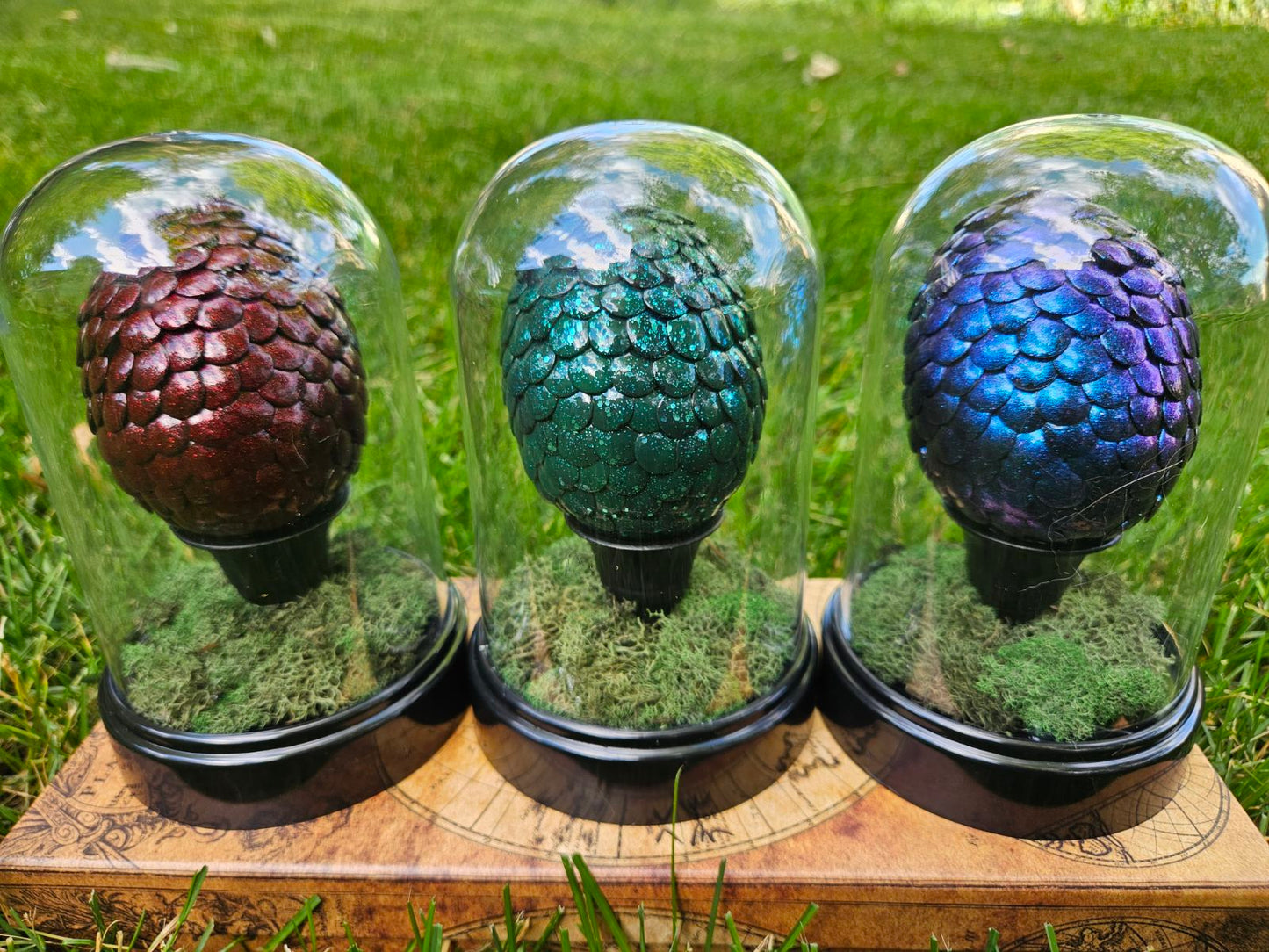 Dragon Eggs