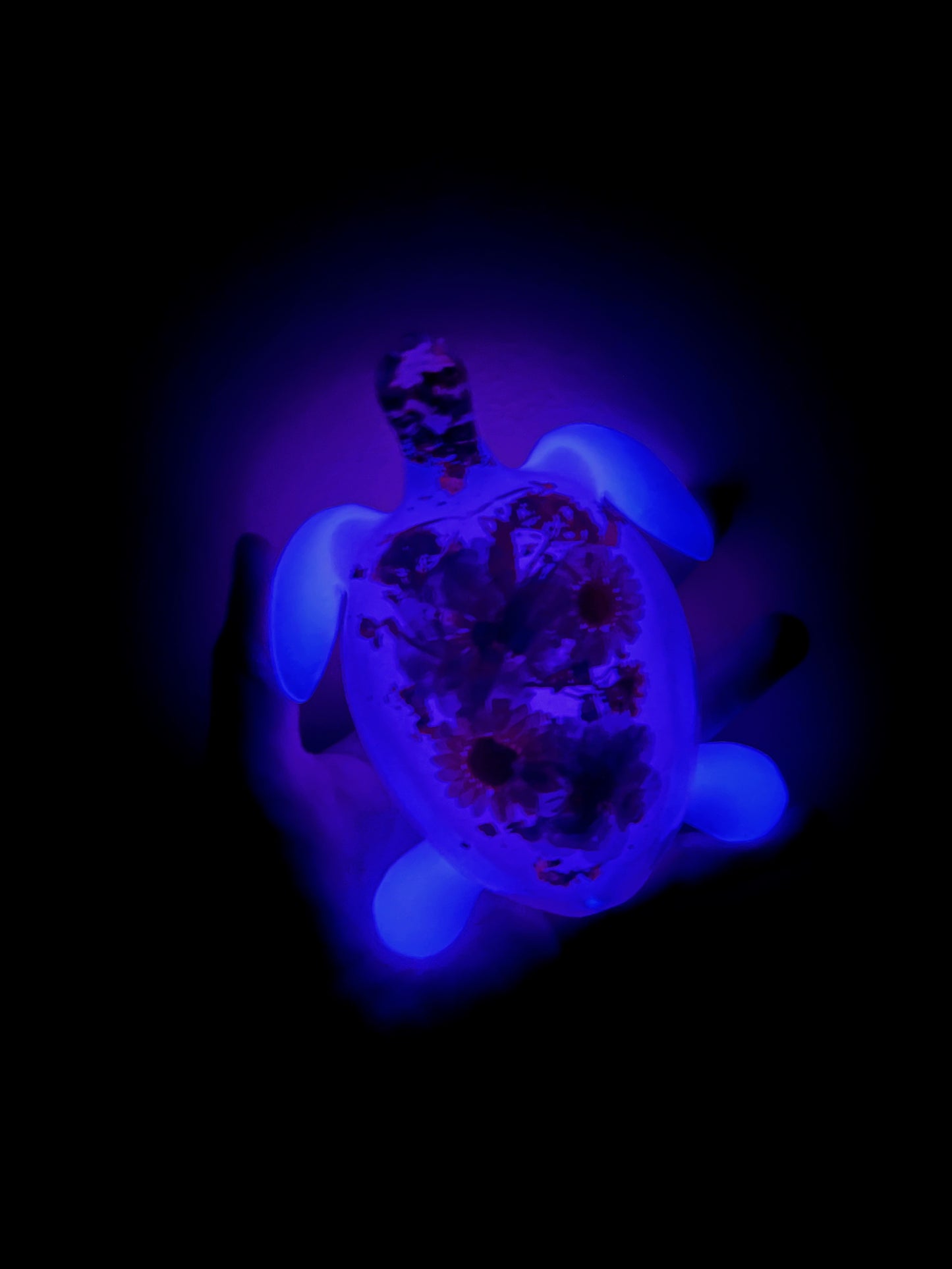 Taylor The Turtle - UV Reactive