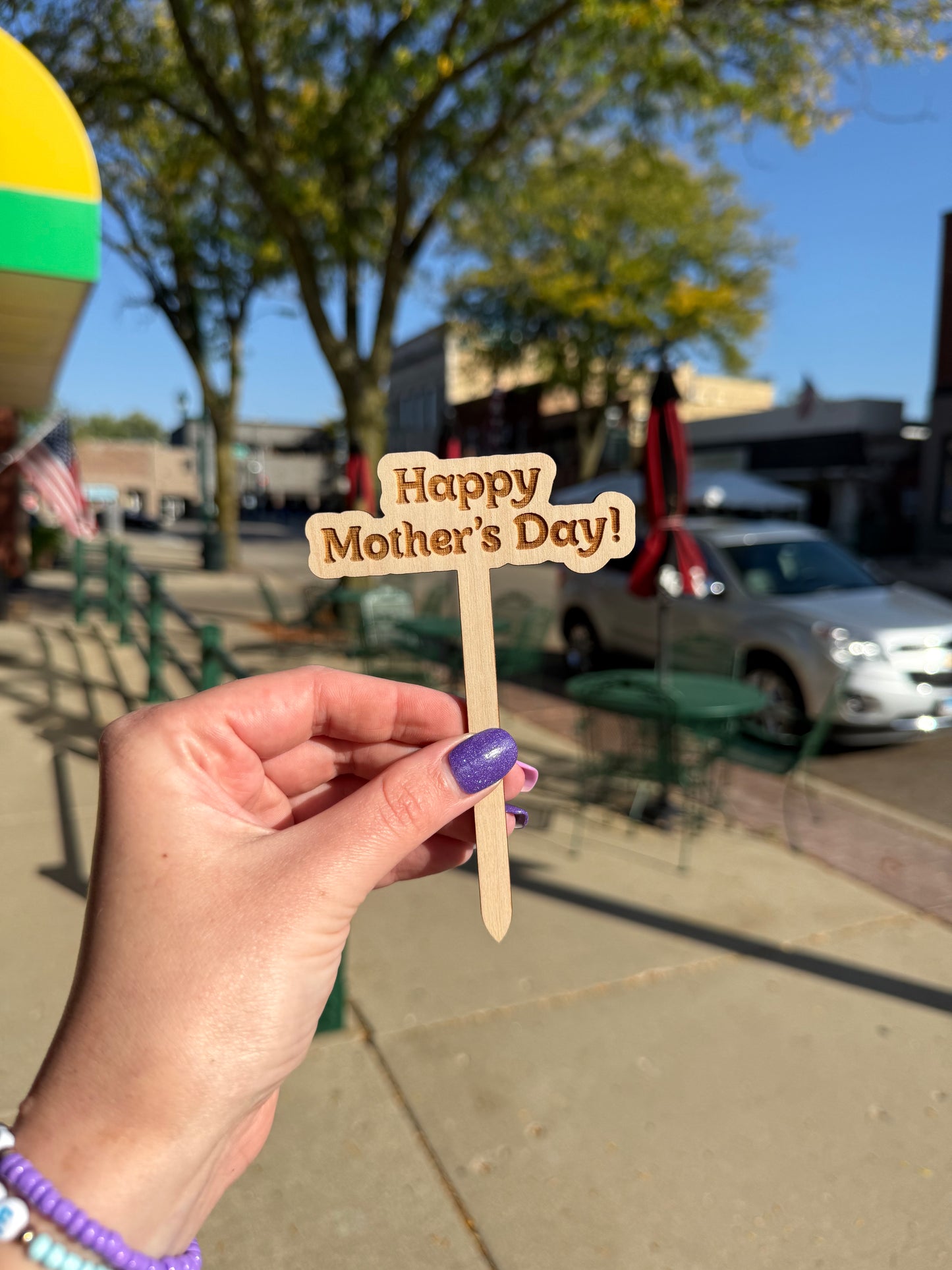 Celebration Wooden Plant Markers