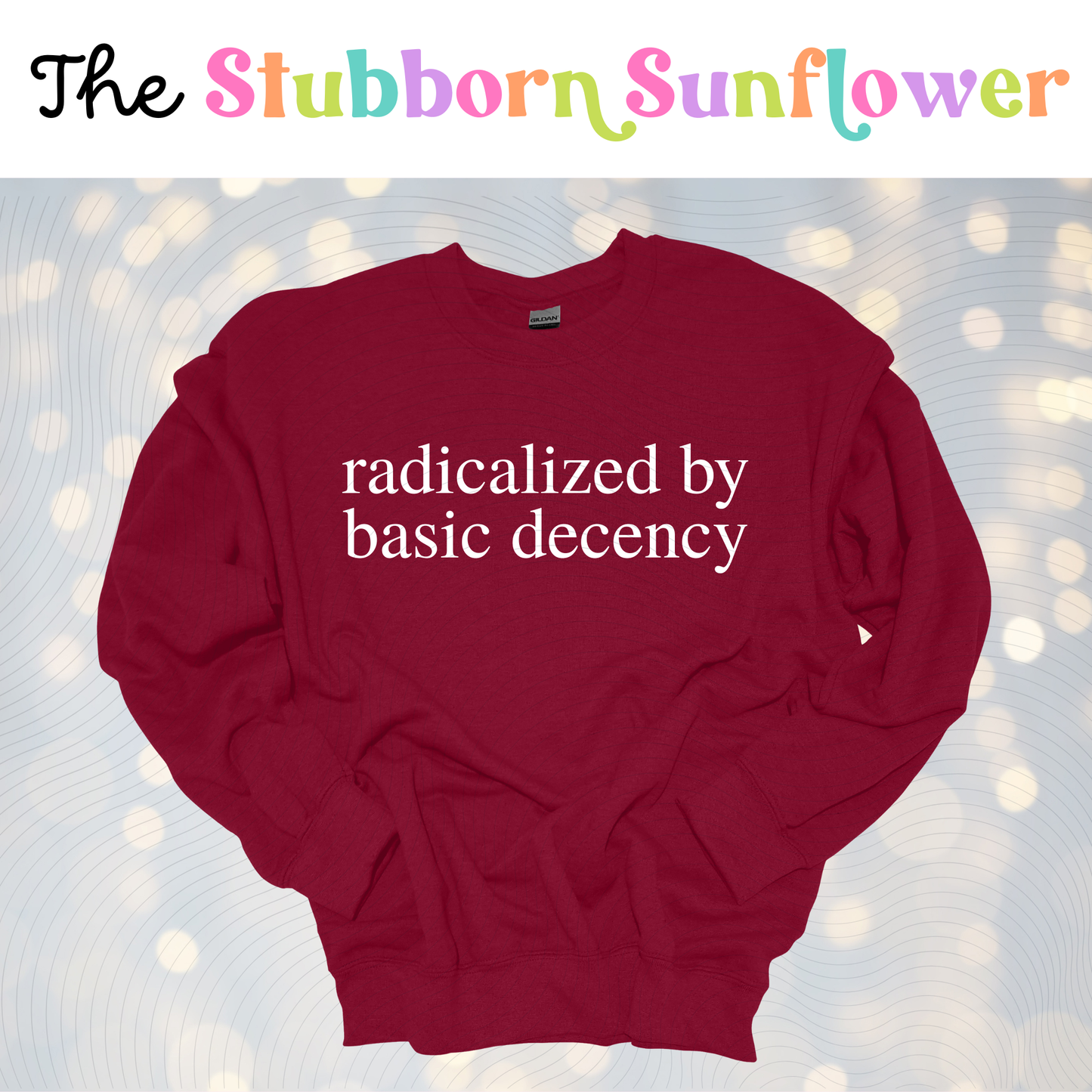 Radicalized by Basic Decency T-Shirt or Sweatshirt