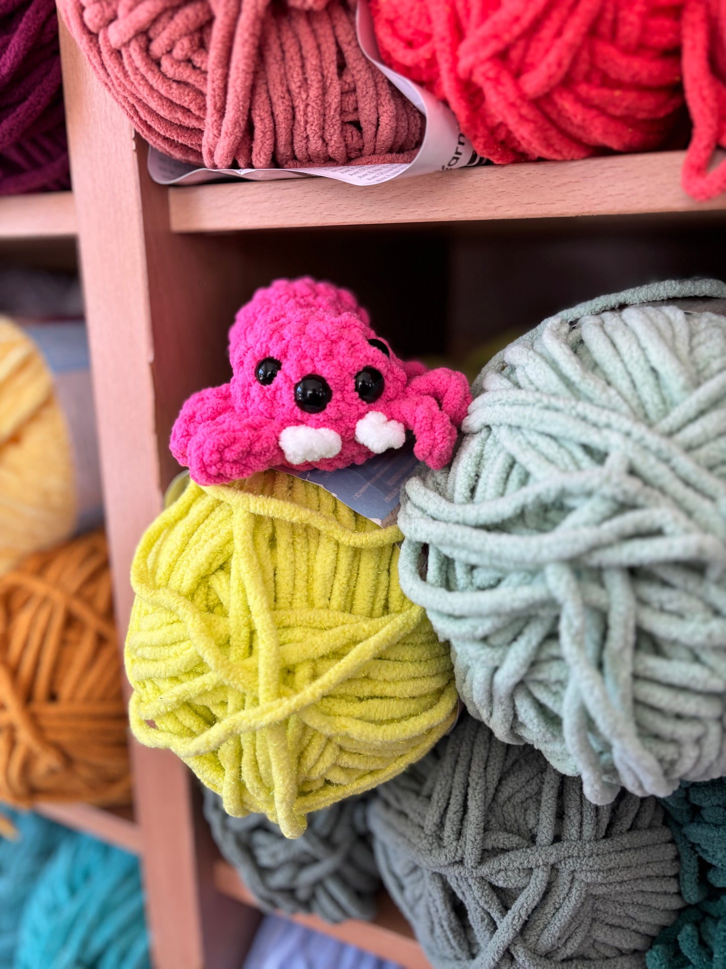 Crochet Jumping Spider