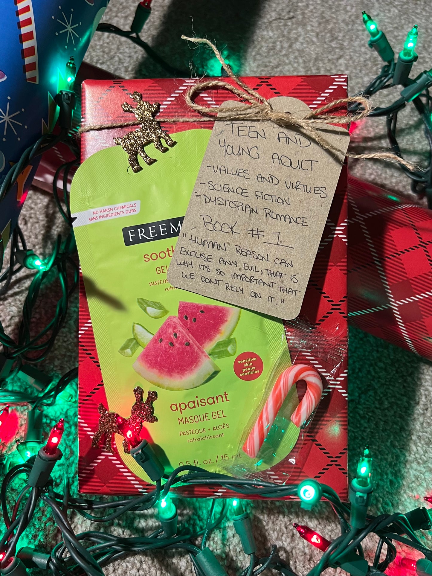 YA Blind Date with a Book | Holiday Wrapping