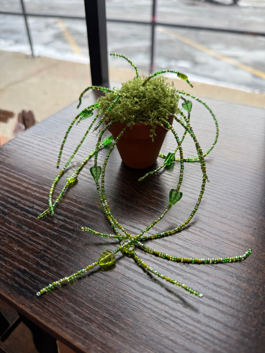 Beaded Plant | Charlotte