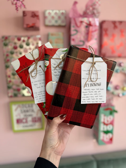 Holiday Blind Date with a Book | Adult & YA