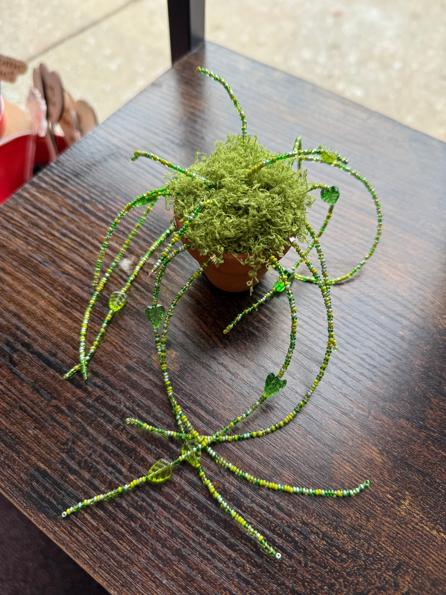 Beaded Plant | Charlotte