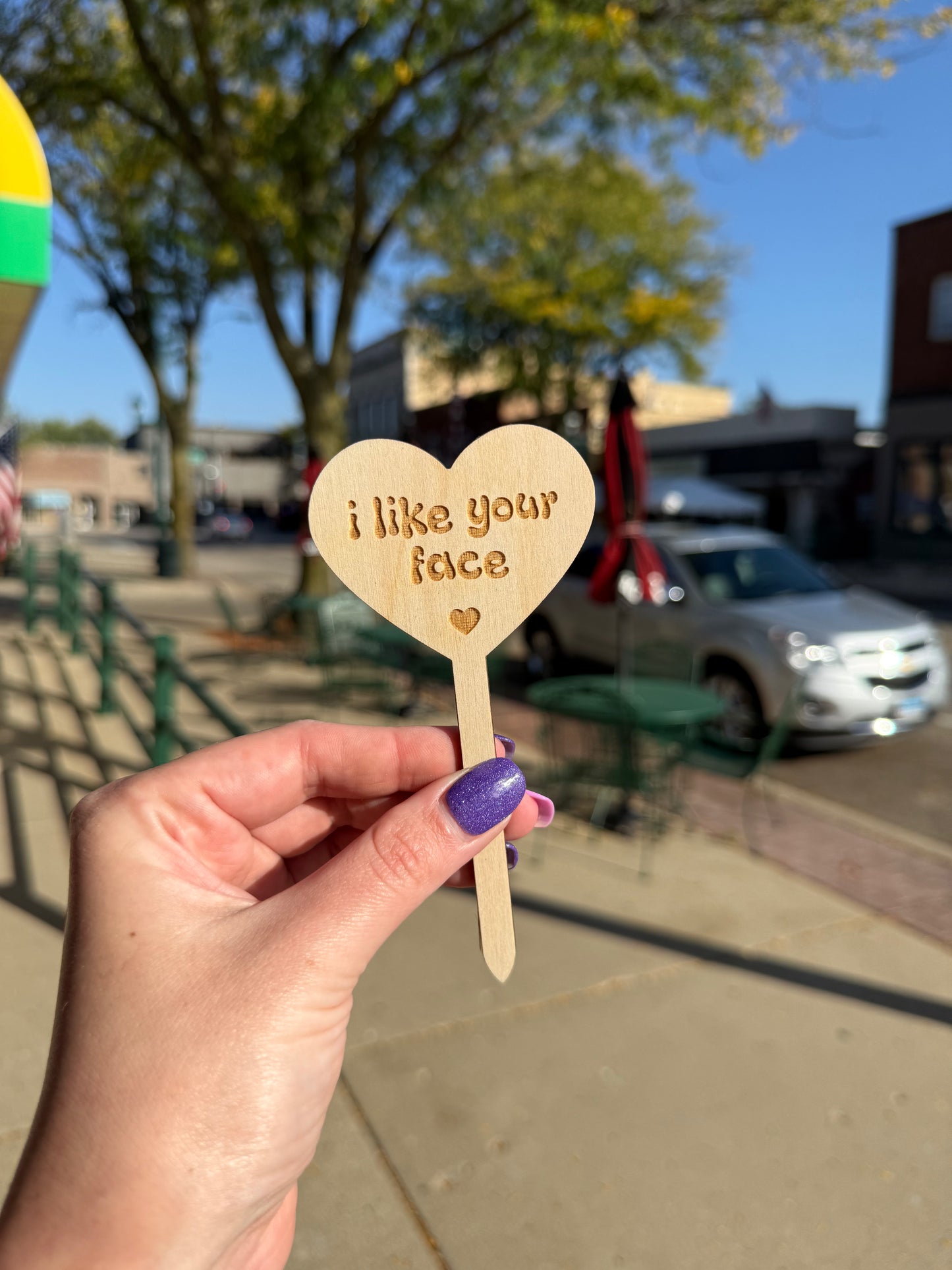 Celebration Wooden Plant Markers