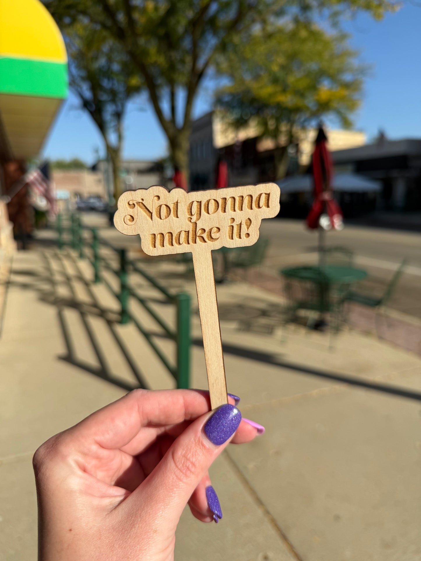 Funny Wooden Plant Markers