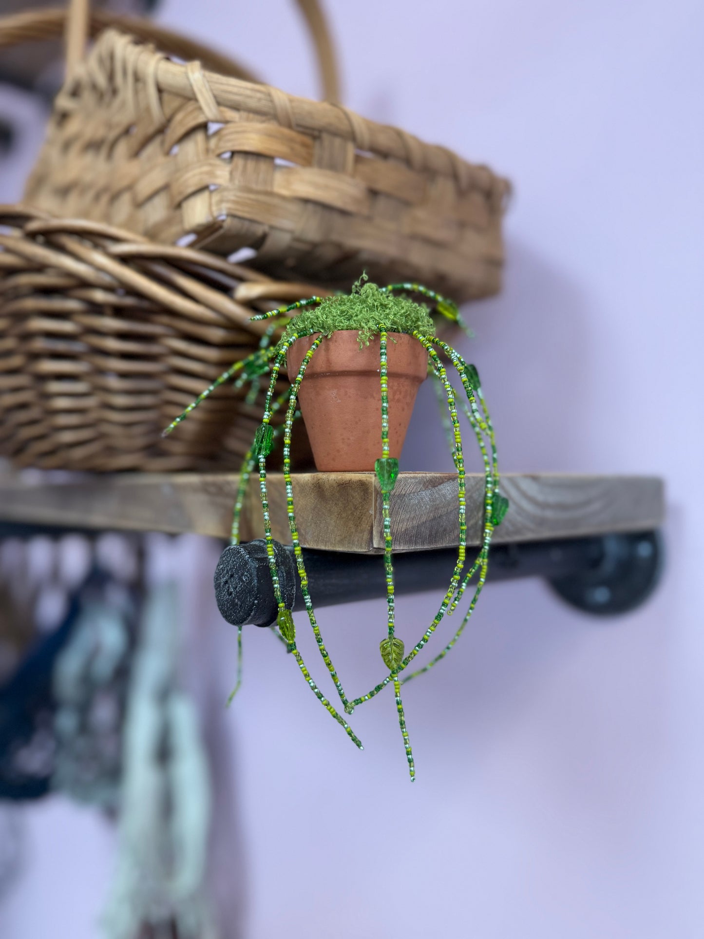 Beaded Plant | Charlotte