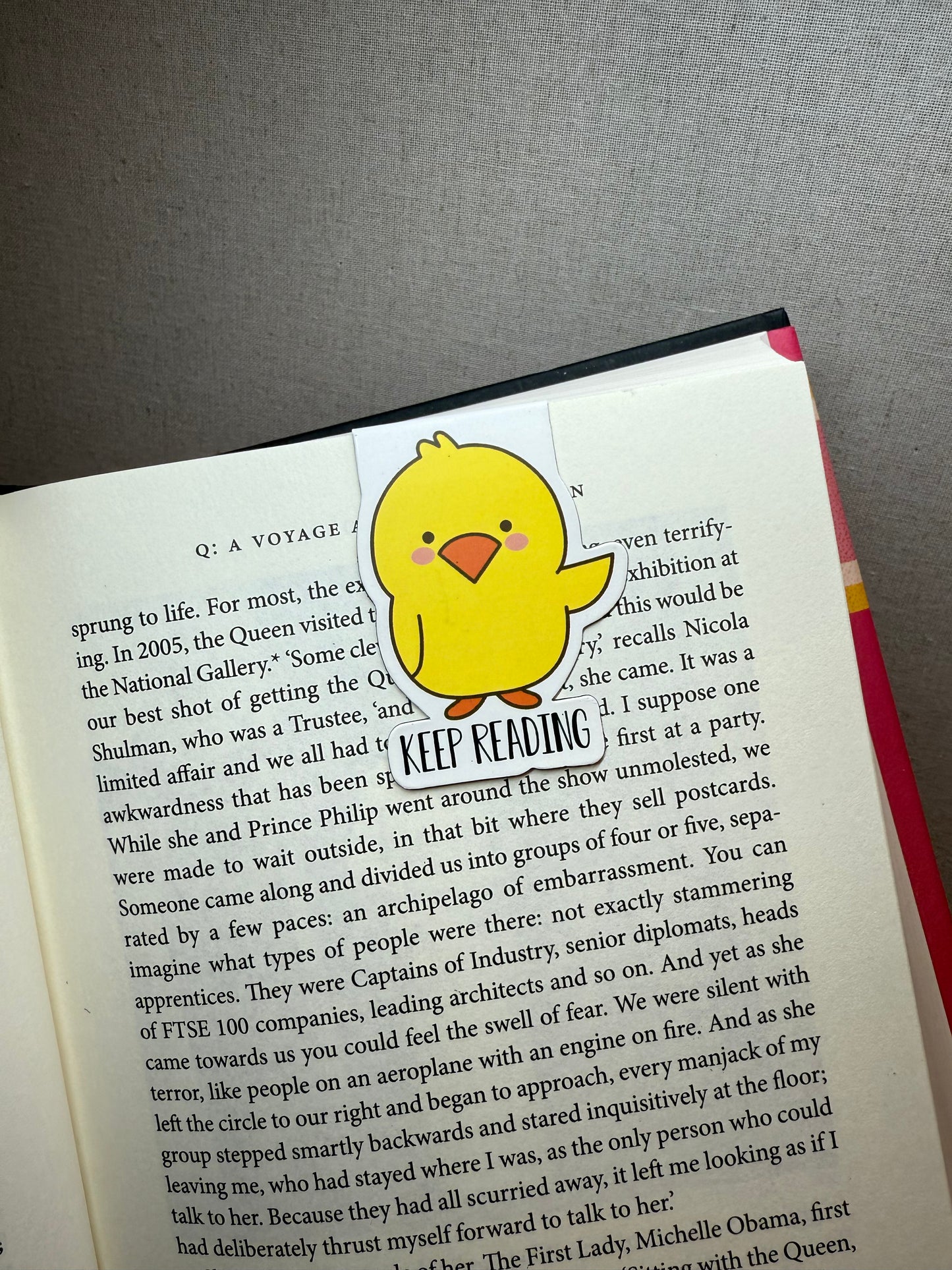 Magnetic Bookmarks