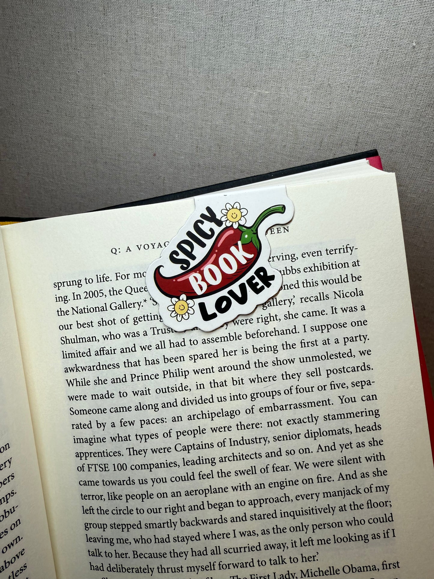 Magnetic Bookmarks