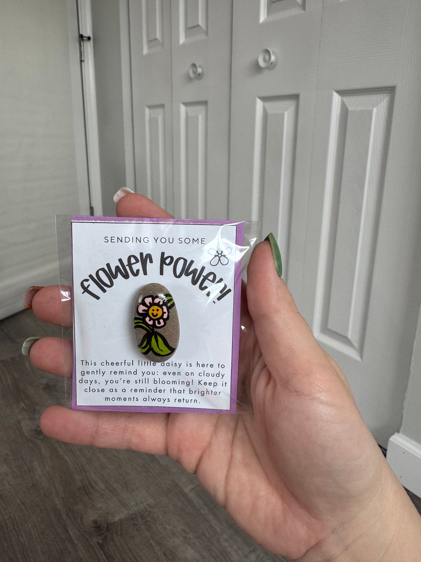 Pocket Rocks || Whimsy || Flowers || Poo || Critters
