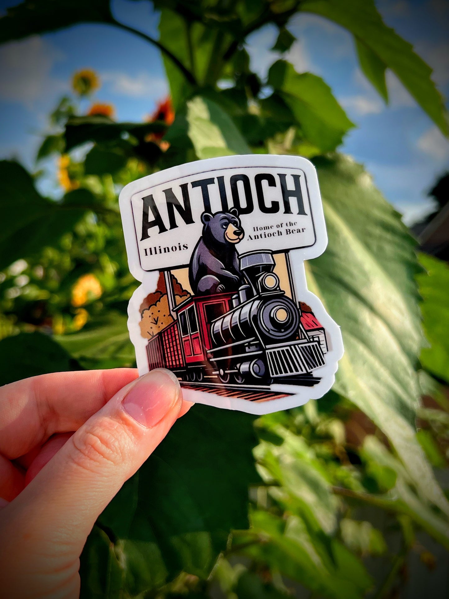 Home Of The Antioch Bear Sticker