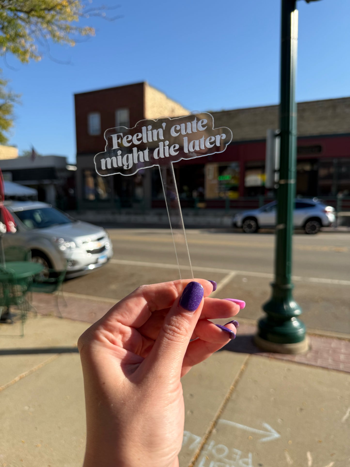 Funny Acrylic Plant Markers