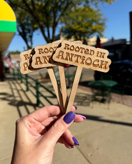 Rooted in Antioch Wooden Plant Stakes