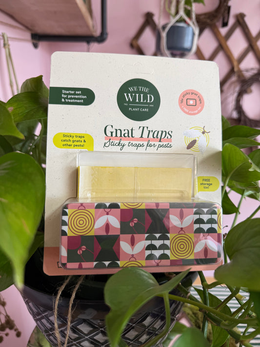 We The Wild || Sticky Gnat Traps