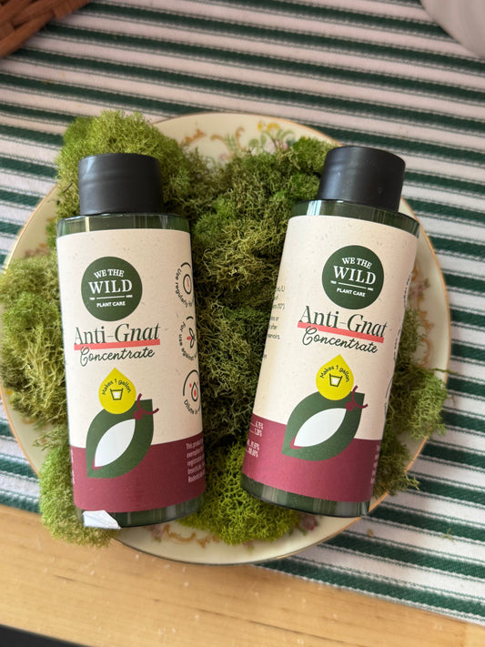We The Wild || Anti-Gnat Concentrate