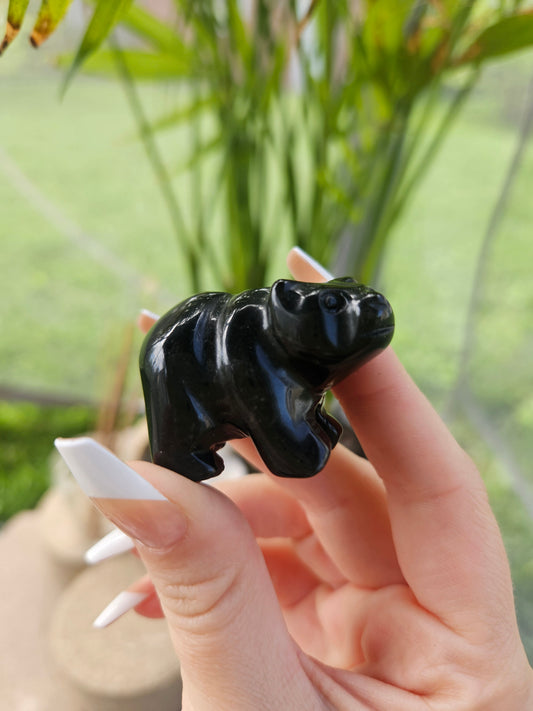 Obsidian Bear