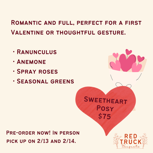 Sweetheart Posy Bouquet | Pre Order