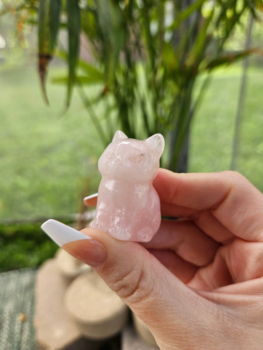 Rose Quartz Cat