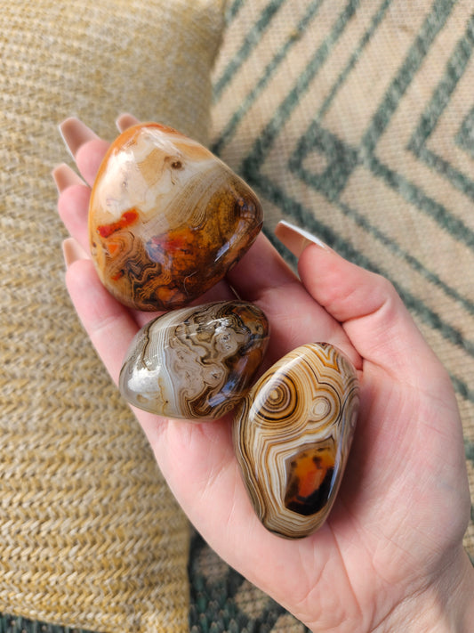 Sardonyx Palmstones