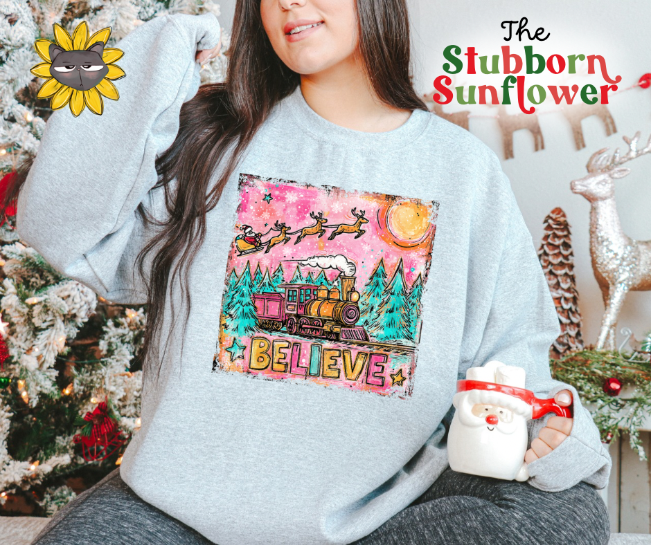 Believe | Sweatshirt or T-Shirt