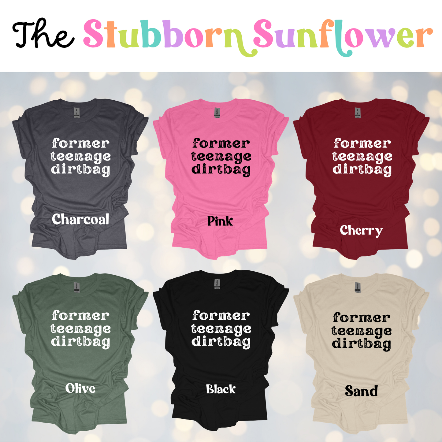 Former Teenage Dirtbag T-Shirt