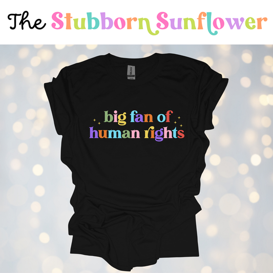 Big Fan of Human Rights T-Shirt